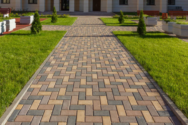 Best Driveway Paving Contractor  in Macon, GA